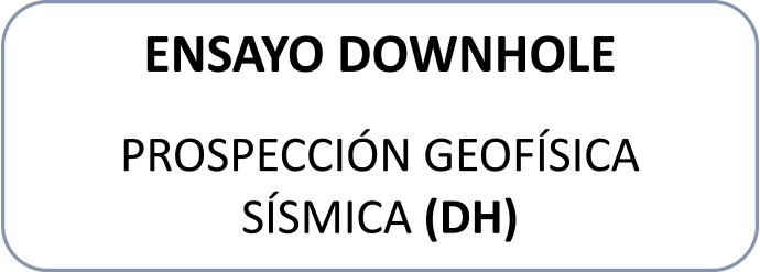 Ensayo Downhole